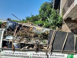 Professional Junk Removal Services in Sanger, CA